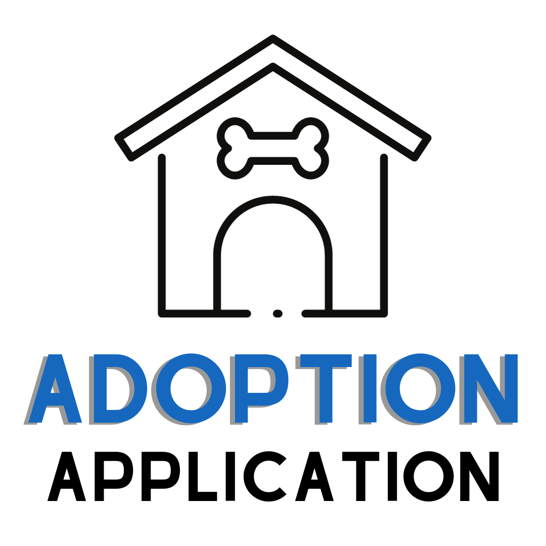 Take Me Home Dog Rescue Dog Rescue